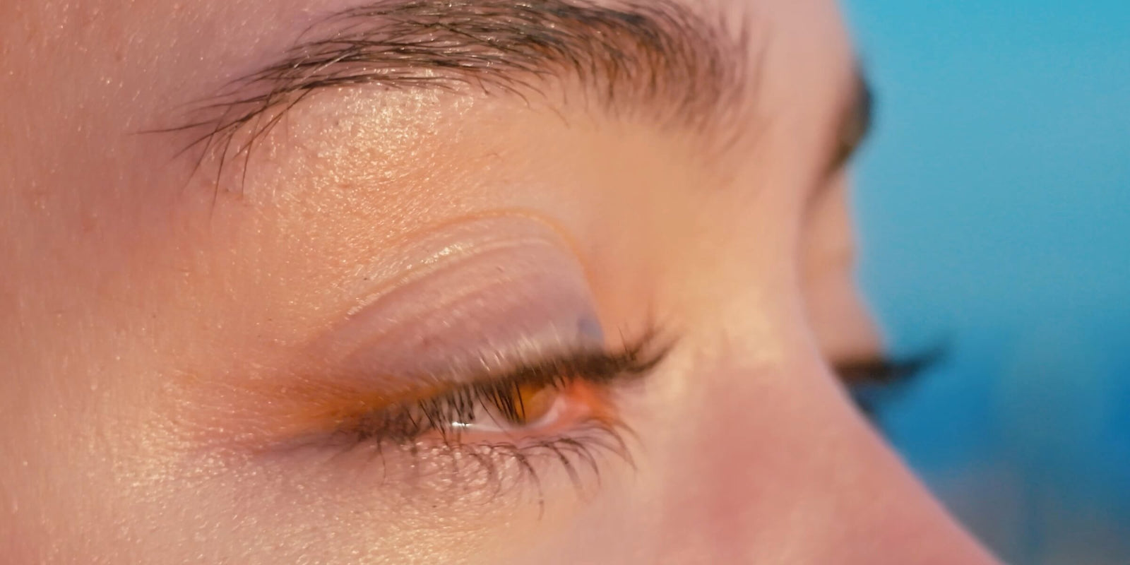 12× zoom captures striking close-ups in crystal-clear detail.