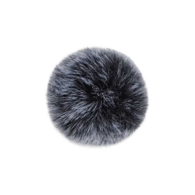 Windscreen