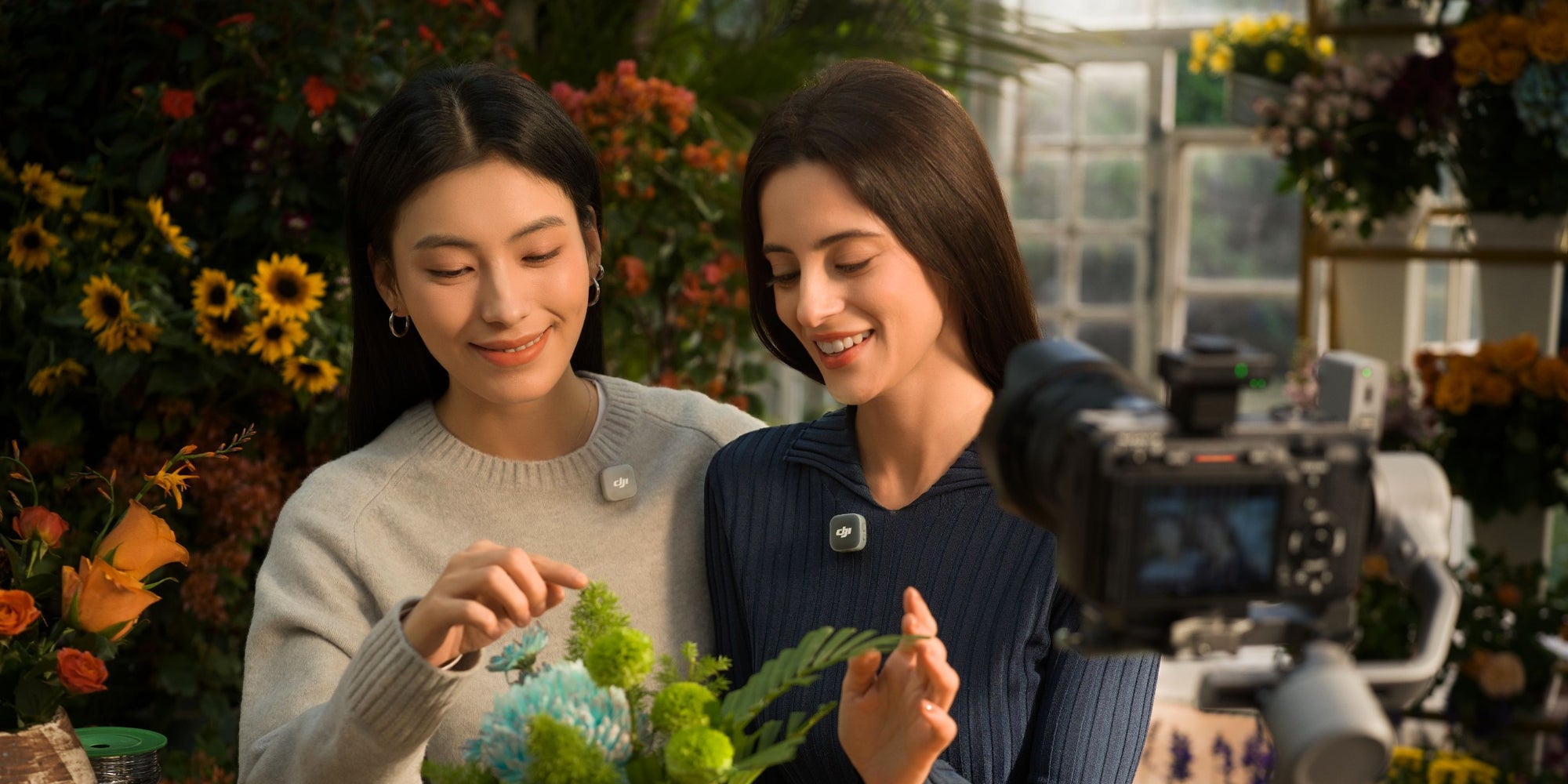 DJI Mic Mini 2 Canlı Renkler
